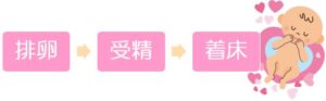 妊娠のステップ